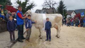 miss malters u schoeneuter aeltere haegar ingrid