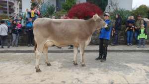 schoeneuter juengere optimal becky