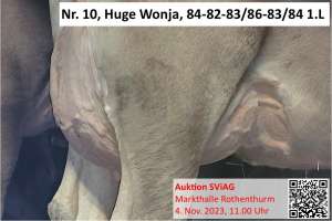 10. huge wonja euter