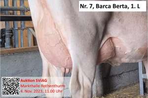 7. barca berta euter