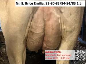 nr. brice emilia euter