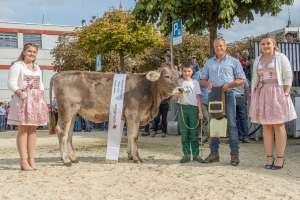 rinderchampion amrein david