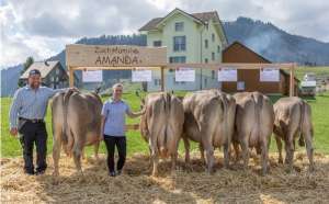 amanda  kaelin markus gross sz  punkte 
