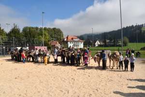 whatsapp bild 2025 10 12 um.31.52 bc3eabdf