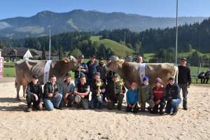 whatsapp bild 2025 10 12 um.34.25 afb482c0