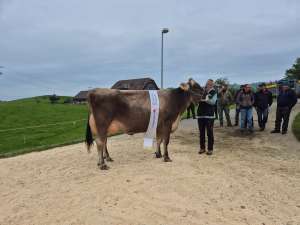 champion bs calvano chirara  