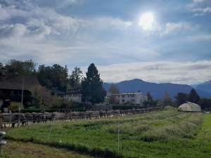 morgenstimmung