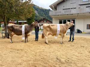 bs champion gerda und bs vize champion hawaii