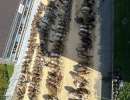 whatsapp image26 10 07 at.40.03 f