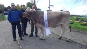 rinderchampion bs jackpot jane