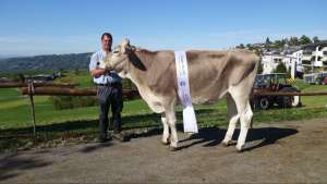 cavaral camille hodel josef