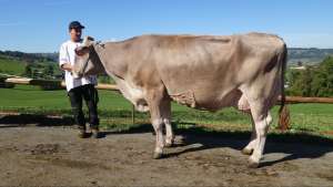schoeneuter aeltere bs bender beverli beat scherer