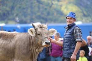 251004 uri viehschau