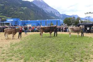 251004 uri viehschau