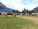 251004 uri viehschau