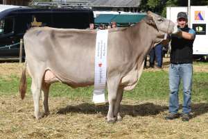champion kuh bs delisia von  tre gi. me   gemsstockstrasse 11  andermatt ch.1522.2266.1