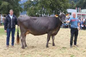 miss genetik bs blanka von walker daniel  wildried   flueelen ch.1539.3171.5 