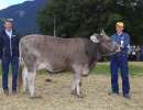 miss genetik ob omar orchide von heinz planzer  buerglen