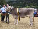 rinder champion bs  judy von kempf walker theo  allmendstrasse 18  altdorf ch.1809.9836.1 