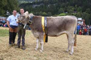 rinder champion bs  judy von kempf walker theo  allmendstrasse 18  altdorf ch.1809.9836.1 