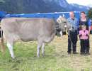 vize champion kuh ob  bamby von ziegler briker michi  giebel 3  flueelen ch.1603.9620.0 