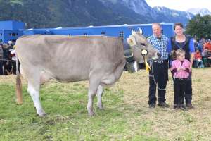 vize champion kuh ob  bamby von ziegler briker michi  giebel 3  flueelen ch.1603.9620.0 