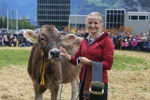 vize rinder champion bs  happy von walker daniel  wildried   flueelen ch.1711.8668.5   