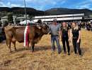 miss ybrig dettling s calino conny von priska und marcel dettling  oberiberg bildquelle pd