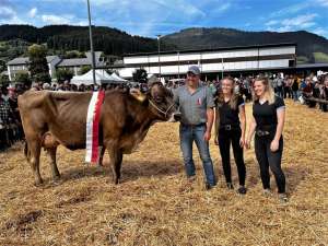 miss ybrig dettling s calino conny von priska und marcel dettling  oberiberg bildquelle pd