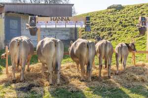 72 hanna ch 120.0576.1151.5 schmid richard sz hsu