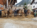 biver malin  meyer felix andermattp