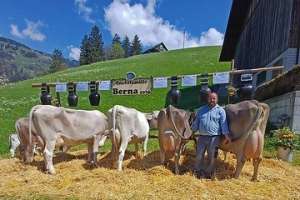 bvch79908 zf zurfluh bs biver berna. riedi peter jpg