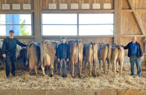 cleitus cleria  stalder michael  p.