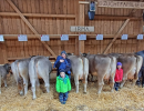 rico irma  kryenbuehl sonya   faessler albin  p.